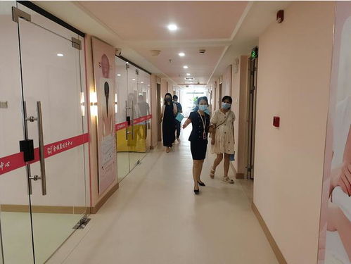 打破傳統，引領未來 標準化母嬰護理服務的變革之路